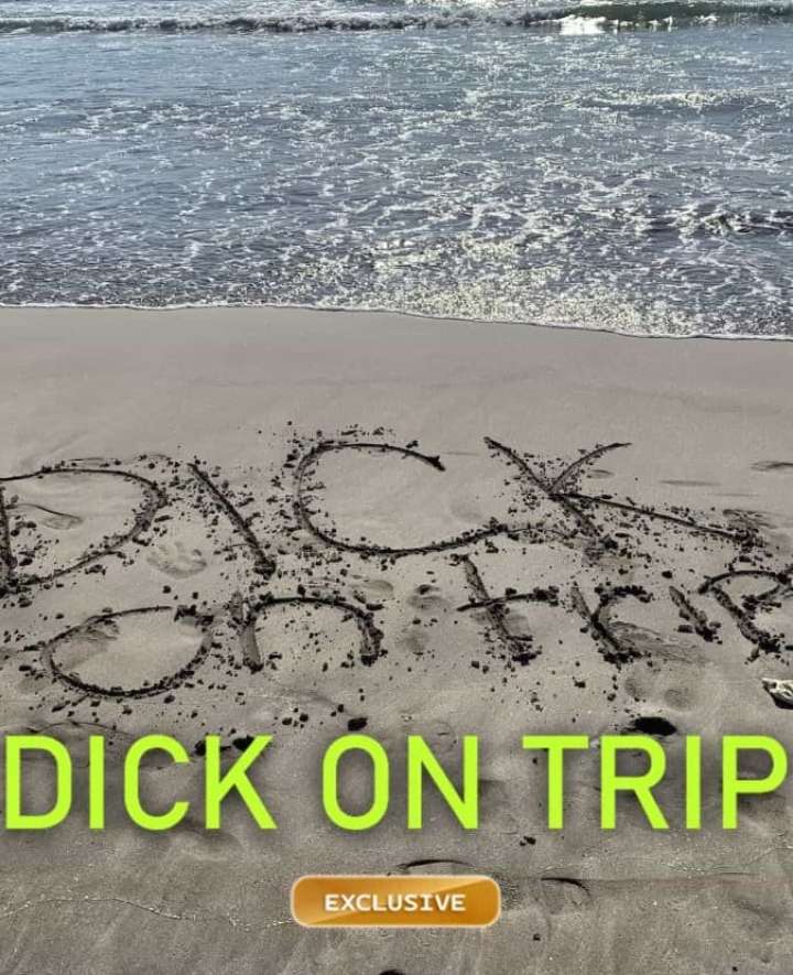 Dick on reisil